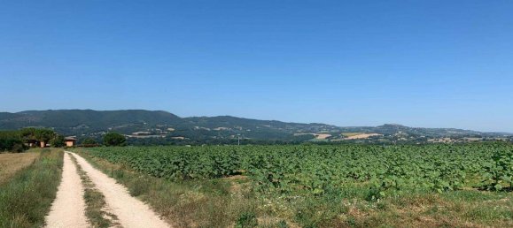 8163m² Land in Todi, Italy No. 162276 5