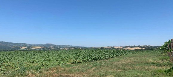 8163m² Land in Todi, Italy No. 162276 6