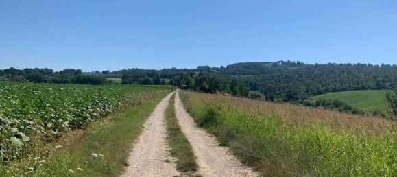 8163m² Land in Todi, Italy No. 162276 9