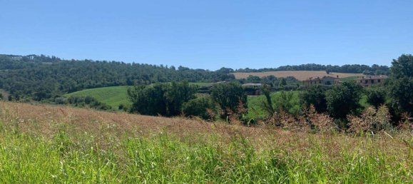 8163m² Land in Todi, Italy No. 162276 14