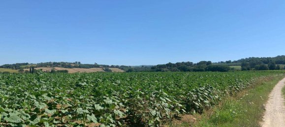 8163m² Land in Todi, Italy No. 162276 12