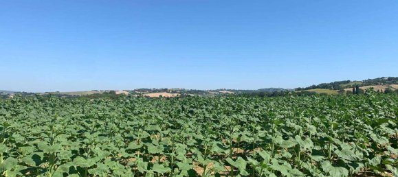 8163m² Land in Todi, Italy No. 162276 11