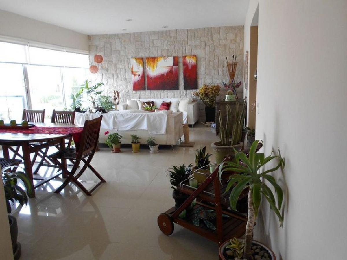 2 bedrooms Apartment in Mexico No. 224266