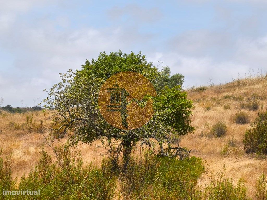 41760m² Land in Altura, Portugal No. 218400