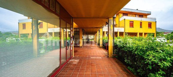 2 rooms Commercial property in Monsummano Terme, Italy No. 349241 2