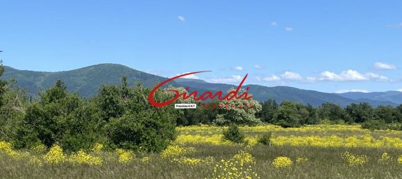 1393m² Land in Wittelsheim, France No. 154349 6