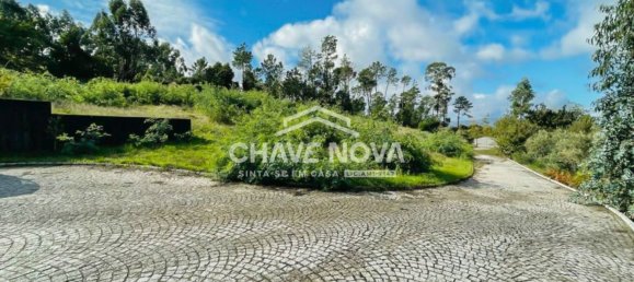 Вилла с 5 спальнями в Визеу, Португалия № 31064 23