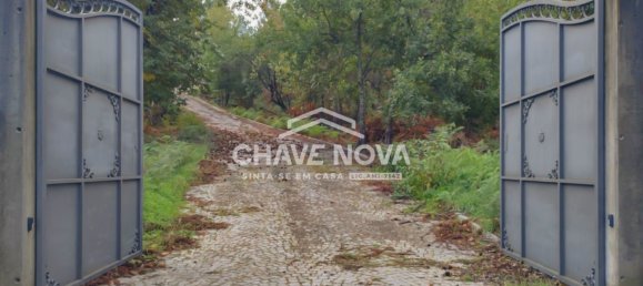 Вилла с 5 спальнями в Визеу, Португалия № 31064 24