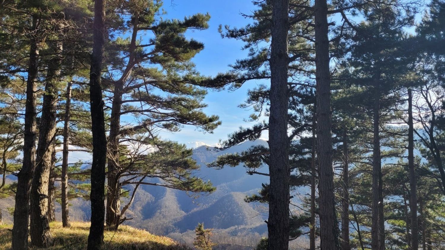 Grundstück in Marradi, Italy 4680000m², Nr. 150327