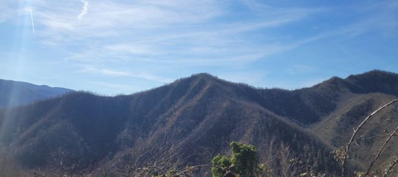 Grundstück in Marradi, Italy 4680000m², Nr. 150327 3