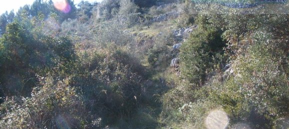 Terrain à Ragusa, Italy 5270m² No. 233870 4