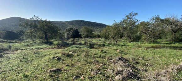 3 غرف نوم منزل في Alte, Portugal رقم 107484 42