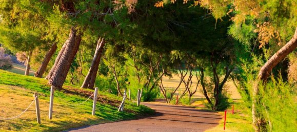 3 bedrooms Villa in Pilar de la Horadada, Spain No. 287203 23