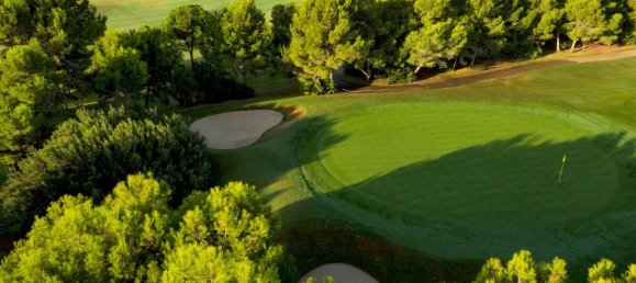 3 bedrooms Villa in Pilar de la Horadada, Spain No. 287203 15