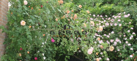 6 rooms Villa in San Biagio di Callalta, Italy No. 229521 15