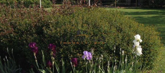 6 rooms Villa in San Biagio di Callalta, Italy No. 229521 13