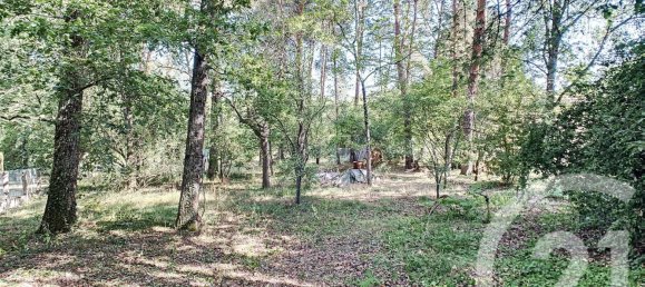 4 bedrooms House in Romorantin-Lanthenay, France No. 97353 18