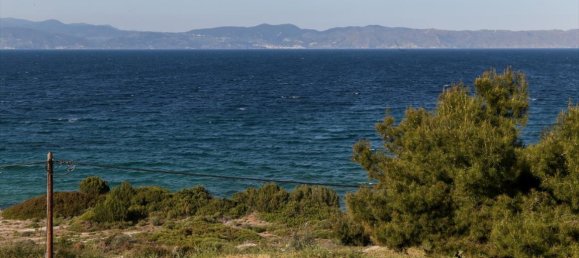 12 dormitorios propiedad comercial en venta en Malesina, Lokroi, Phthiotis, Central Greece, Thessaly and Central Greece, Greece № 4866 18