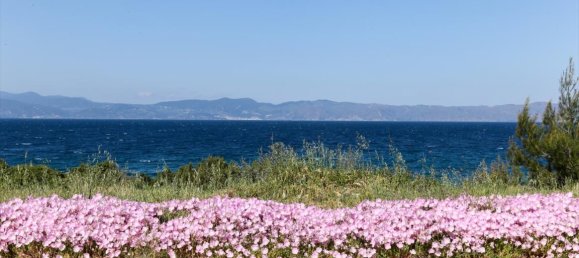 12 dormitorios propiedad comercial en venta en Malesina, Lokroi, Phthiotis, Central Greece, Thessaly and Central Greece, Greece № 4866 22