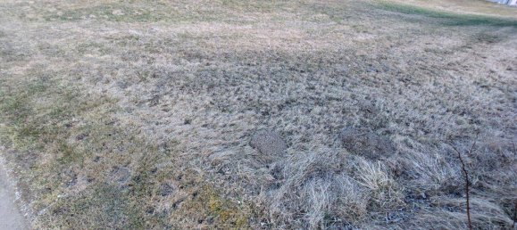 3غرفة منزل في Passail, Austria رقم 131755 26