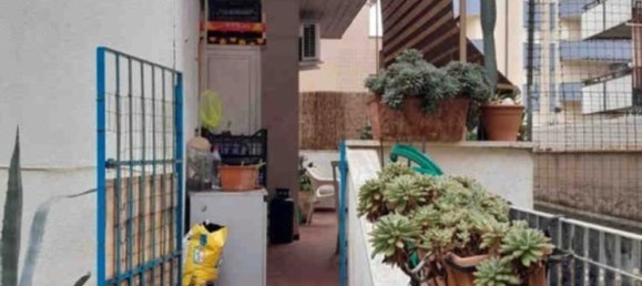 4-Zimmer Wohnung in Nettuno, Italy, Nr. 13316 5