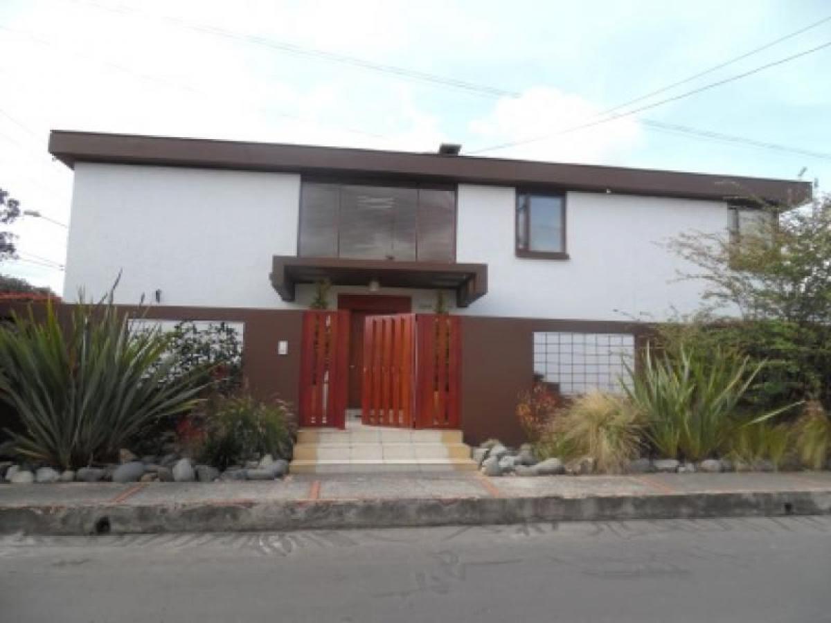 5 bedrooms House in Guadalajara de Buga, Colombia No. 3581