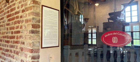 5 rooms Commercial property in Villanova d'Asti, Italy No. 59821 12