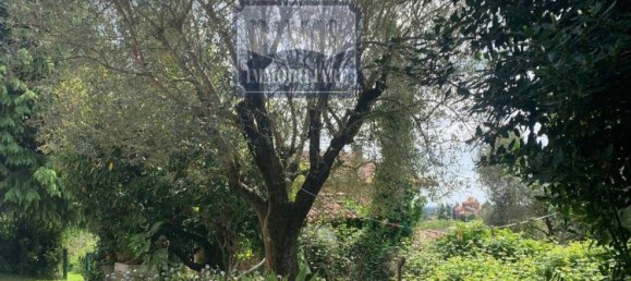 7 rooms House in Volpago del Montello, Italy No. 60958 8