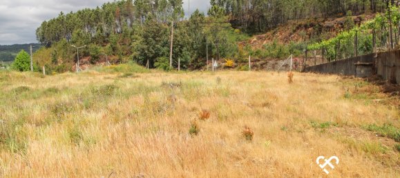 Terrain à Sul, Portugal No. 65827 2