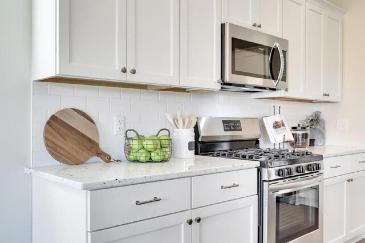 4 bedrooms House in Rosemount, USA No. 413069