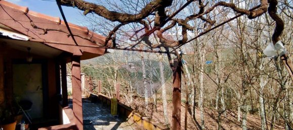 1 غرف نوم منزل في Cortes do Meio, Portugal رقم 169601 9