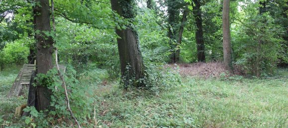 3-Zimmer Bungalow in Leipzig, Germany, Nr. 264746 27