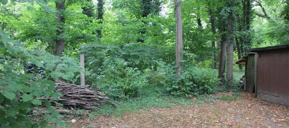 3-Zimmer Bungalow in Leipzig, Germany, Nr. 264746 25