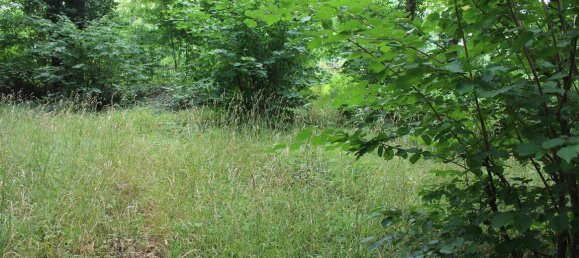 3-Zimmer Bungalow in Leipzig, Germany, Nr. 264746 28