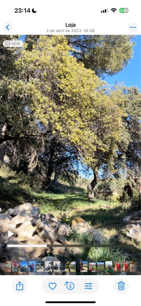 Terreno em Loja, Spain 15000 m² N.º 222925