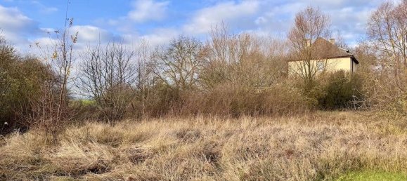  Land in Vorpommern-Greifswald, Germany No. 212418 2