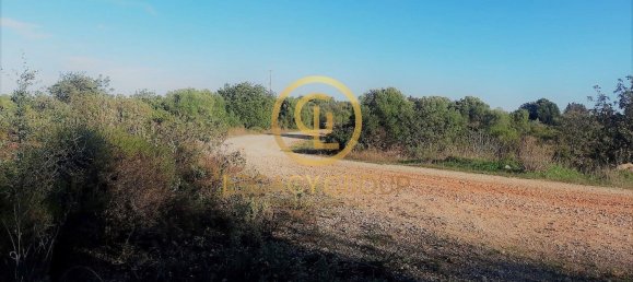 1140000m² Land in Tavira, Portugal No. 52820 12