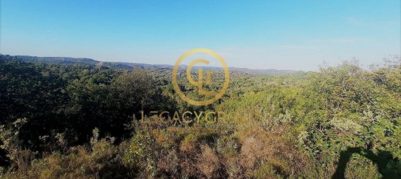 1140000m² Land in Tavira, Portugal No. 52820 14