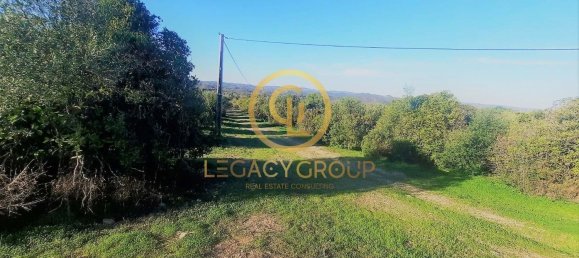 1140000m² Land in Tavira, Portugal No. 52820 13