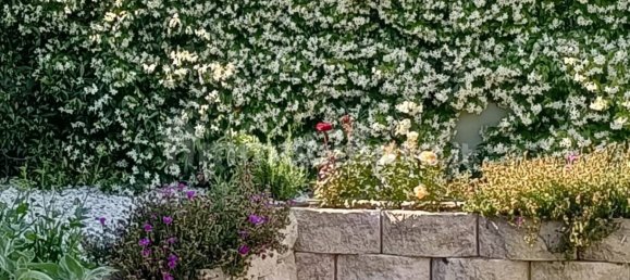 Вилла с 4 спальнями в Порто Реканати, Италия № 12481 6