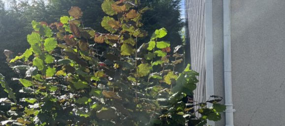  قطعة أرض في Saint-Herblain, France 557متر مربع رقم 102595 5