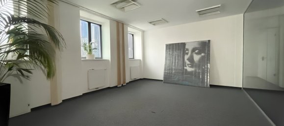 132m² Office in Wieden, Austria No. 233408 7