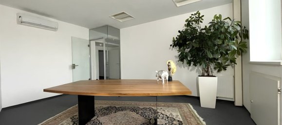 132m² Office in Wieden, Austria No. 233408 11