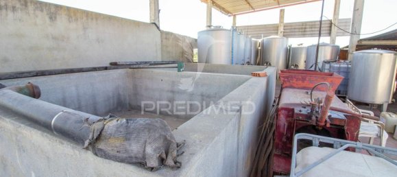 3 bedrooms Castles in Palmela, Portugal No. 119901 11