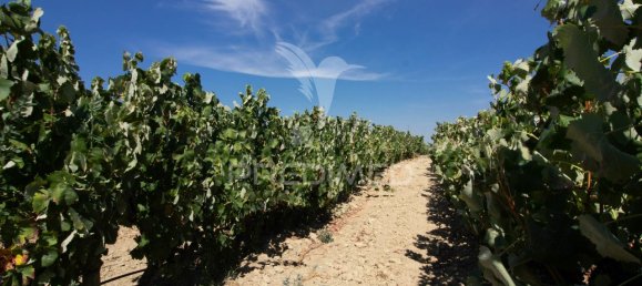 3 bedrooms Castles in Palmela, Portugal No. 119901 18