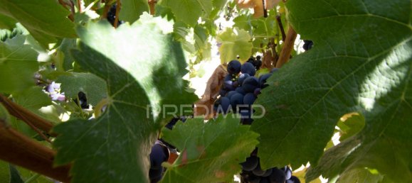 3 bedrooms Castles in Palmela, Portugal No. 119901 20