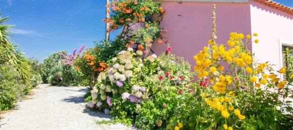 3 bedrooms Castles in Palmela, Portugal No. 119901 5