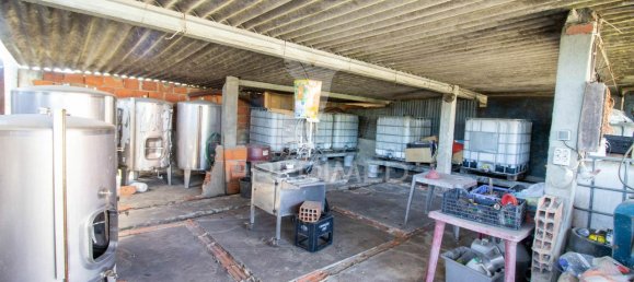 3 bedrooms Castles in Palmela, Portugal No. 119901 13