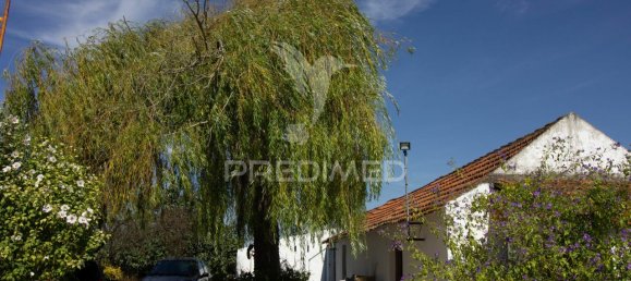 3 bedrooms Castles in Palmela, Portugal No. 119901 15