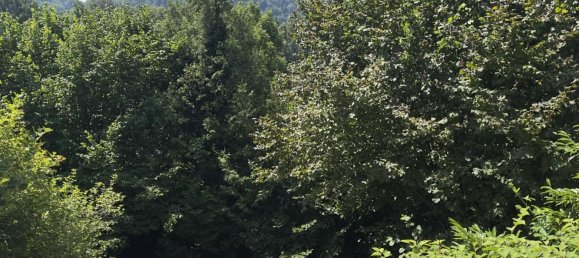 7غرفة تاون هاوس في Lorrach, Germany رقم 231540 5